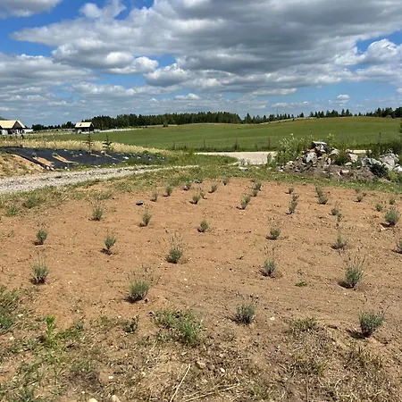 아파트 Koniec Swiata Stare Sady *